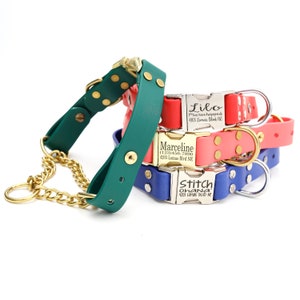 Martingale Wasserdichte Leder Alternative Hundehalsband Seitliche Freigabe SCHNALLE | Martingale Hundehalsband - Personalisiertes Hundehalsband Limited Slip Collar