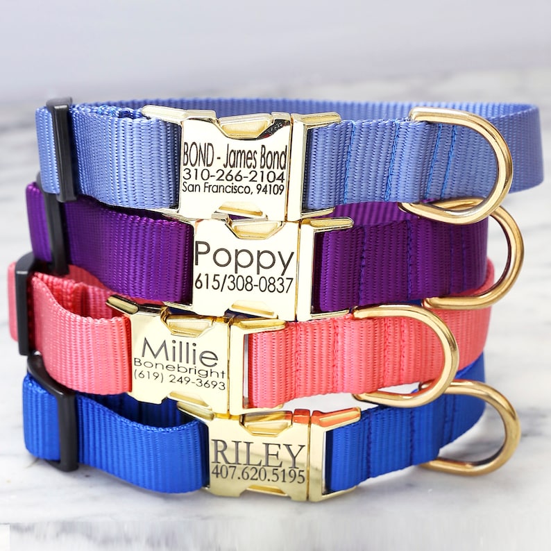 GOLD Zinc Buckle Engraved Dog Collar Personalized Collar 27 Etsy