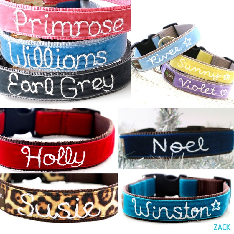 Personalized Velvet Dog Collar 20 colors available Custom Dog Collar Hand Embroidered Collar with your dog's name Monogram dog collar image 7