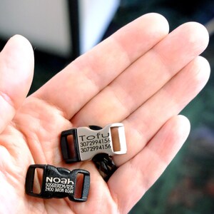 May include: Two silver metal dog tags with engraved text. The top tag reads "TOFU" and includes a phone number. The bottom tag reads "NOAH" and includes a name and address.