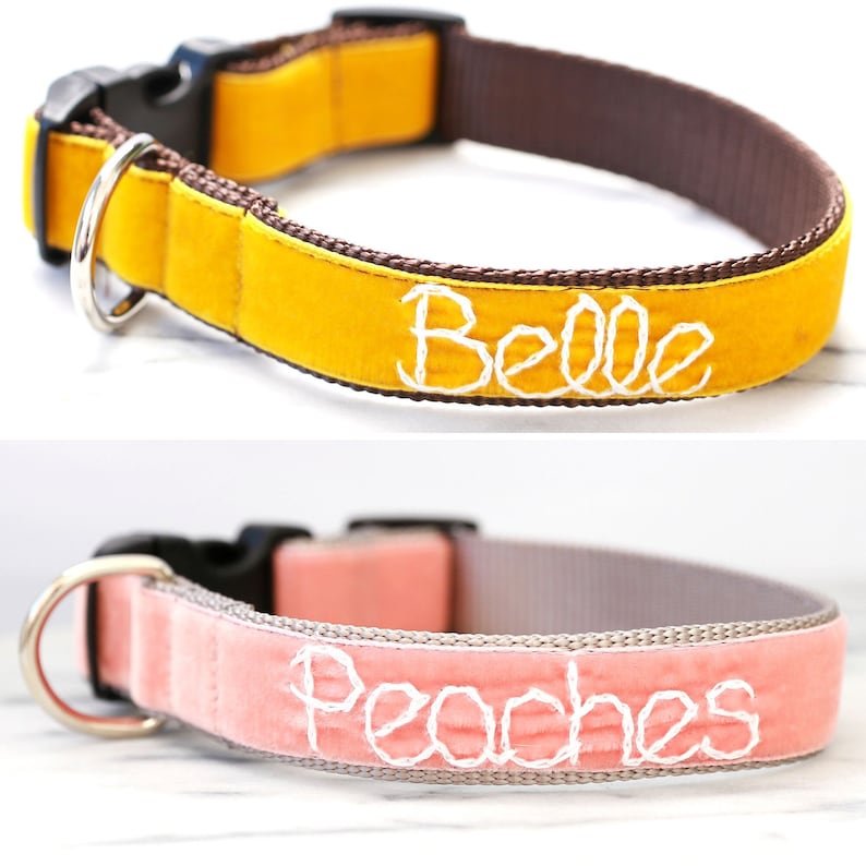 Collar de perro de terciopelo personalizado 20 colores disponibles Collar de perro personalizado Collar bordado a mano con el nombre de su perro Collar de perro monograma imagen 6