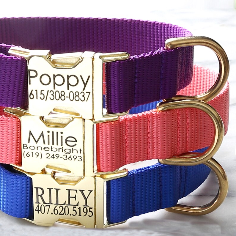 GOLD Zinc Buckle Engraved Dog Collar Personalized Collar 27 Etsy