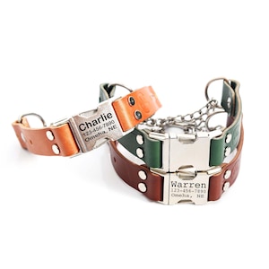 Martingale Leather Dog Collar w Side Release BUCKLE | Martingale Leather Dog Collar  Personalized Martingale Dog Collar  Limited Slip Collar