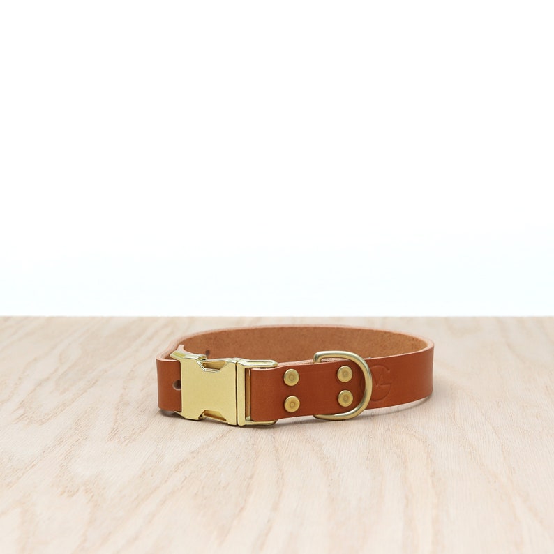 Engraved English Bridle Dog Collar, Classic Personalized Leather Collar with Gold Zinc Buckle, Custom Leather Dog Collar 10 leather colors image 8
