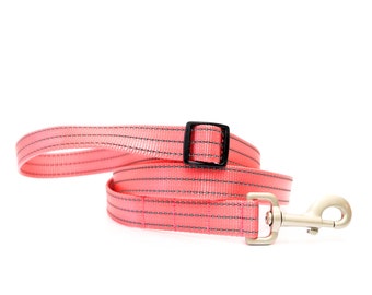 Adjustable Reflective Nylon Dog Leash: Hands-Free Safety Leash