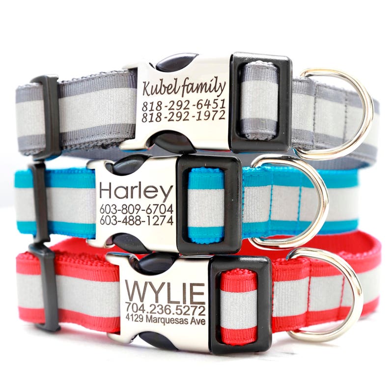 Personalized REFLECTIVE Dog Collar W Laser Engraved Buckle Etsy Australia