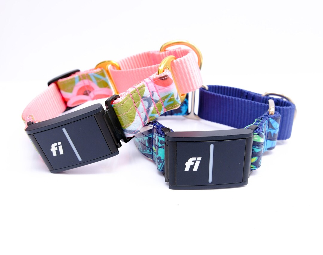 Fi Compatible Laminated Cotton Martingale Collar Series 3 12 Styles Dog