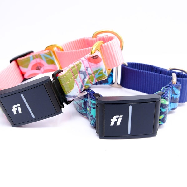 Fi Compatible Laminated Cotton Martingale Collar | Series 3 | 12 Styles Dog Collar | Fi Martingale | Engraved ID | Dirt Resistant