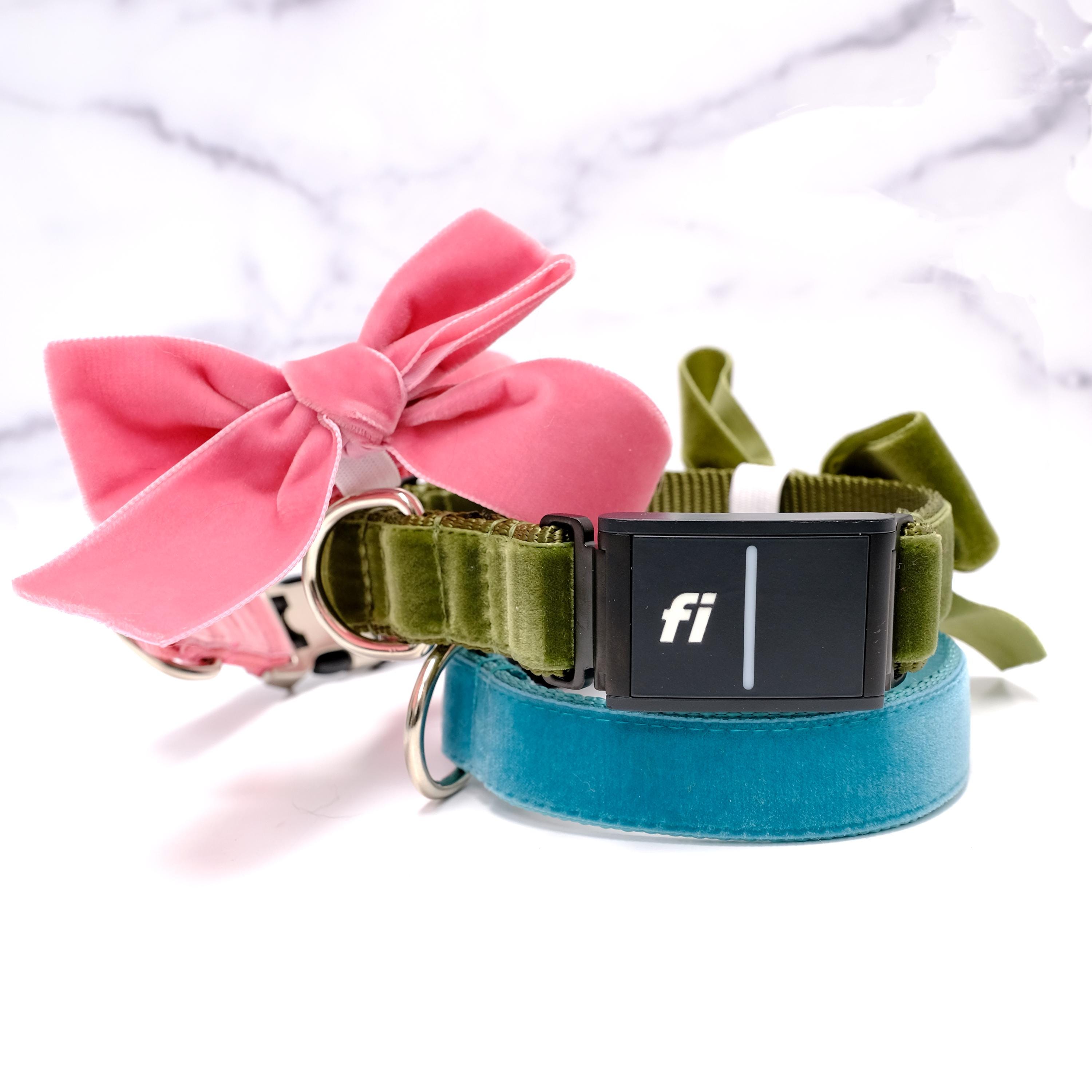 Fi Compatible - Personalized Velvet Dog Collar With Bow Engraved Buckle Series 3/3+