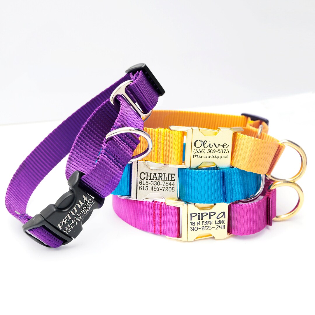 Personalized Nylon Martingale Chain Dog Collar - 22 Colors