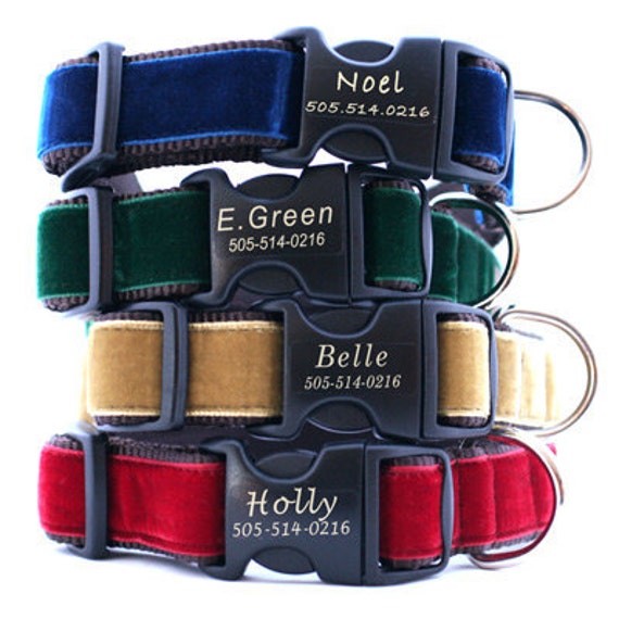 Monogram top dog collar
