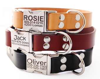 Leather Dog Collar with Personalized Engraved Silver Buckle -- 10 Classic colors to choose from