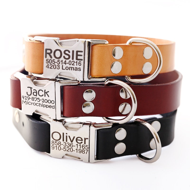 Collars Unique Unique Dog Collar - Etsy