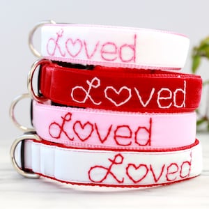 LOVED Velvet Dog Collar Valentine Dog Collar Hand Embroidered Dog Collar I Am Loved Dog collar Cute dog collar image 1