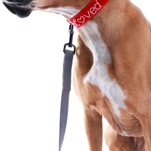 LOVED Velvet Dog Collar Valentine Dog Collar Hand Embroidered Dog Collar I Am Loved Dog collar Cute dog collar image 8