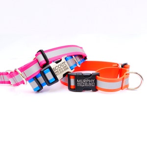Reflective Lightweight Biothane Waterproof MARTINGALE Dog Collar w/ Engraved Buckle | The Day Trip Collection | Limited Slip