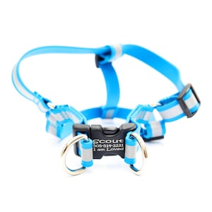 Reflective Biothane Dog Harness: Step-In Style, Personalized Buckle