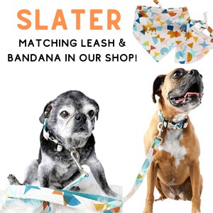 Op de afbeelding: Twee honden dragen bijpassende gepatroneerde halsbanden en riemen. De riemen zijn tealblauw met een geometrisch patroon van oranje, geel en blauw. De halsbanden hebben hetzelfde patroon. De tekst "SLATER MATCHING LEASH & BANDANA IN OUR SHOP!" staat bovenaan de afbeelding.