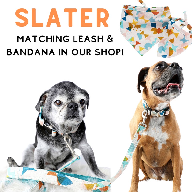 Op de afbeelding: Twee honden dragen bijpassende gepatroneerde halsbanden en riemen. De riemen zijn tealblauw met een geometrisch patroon van oranje, geel en blauw. De halsbanden hebben hetzelfde patroon. De tekst "SLATER MATCHING LEASH & BANDANA IN OUR SHOP!" staat bovenaan de afbeelding.