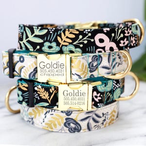 Engraved Gold Zinc Buckle Dog Collar w Rifle Paper Co. Canvas Fabric 'GOLDIE' - Personalized with 4 Colors Combos to Choose From