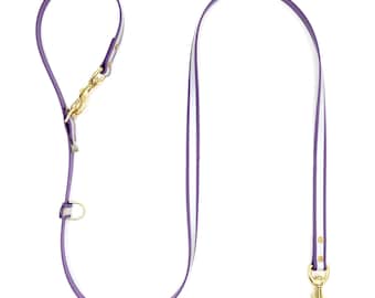 Reflective Biothane Hands-Free Dog Leash: Waterproof Convertible Lead