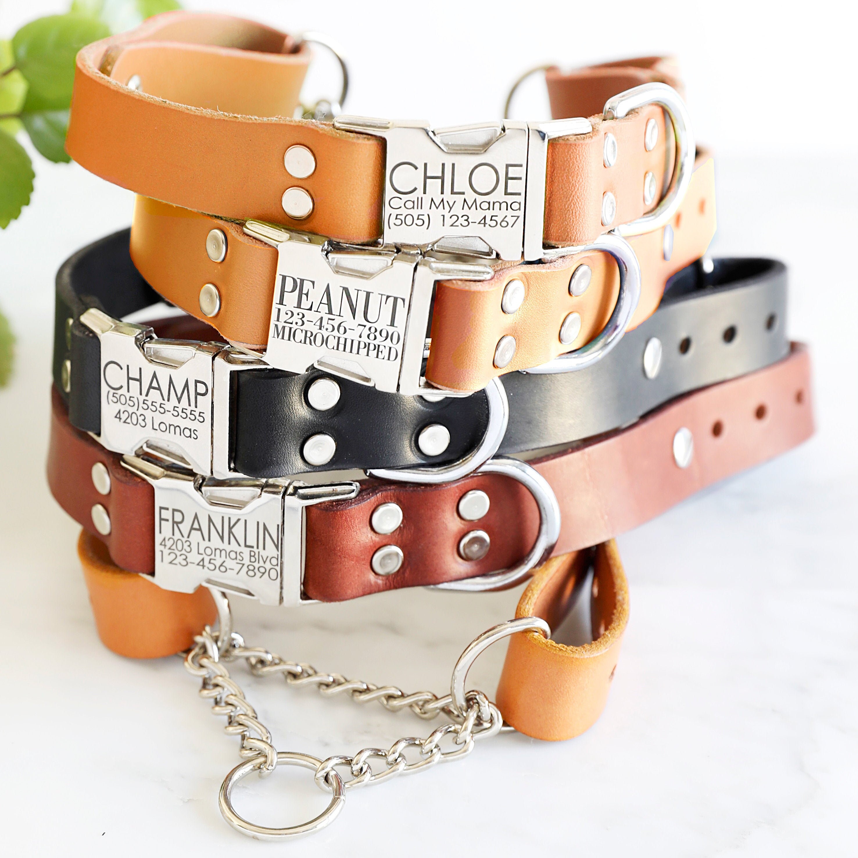personalized martingale collar with buckle