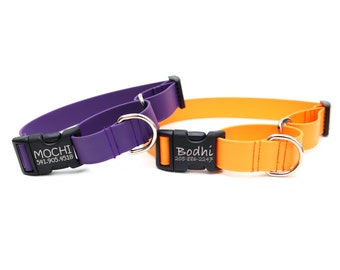 Lightweight Biothane Waterproof MARTINGALE Dog Collar with Engraved MG2 Plastic Buckle | The Day Trip Collection | Limited Slip Training