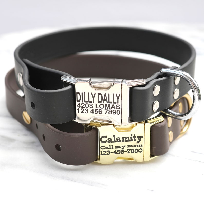 Pode incluir: Duas coleiras para c&atilde;es com etiquetas de metal gravadas. A coleira superior &eacute; preta com uma etiqueta prateada que diz "DILLY DALLY 4203 LOMAS 123 456 7890". A coleira inferior &eacute; marrom com uma etiqueta dourada que diz "Calamity Call my mom 123-456-7890".