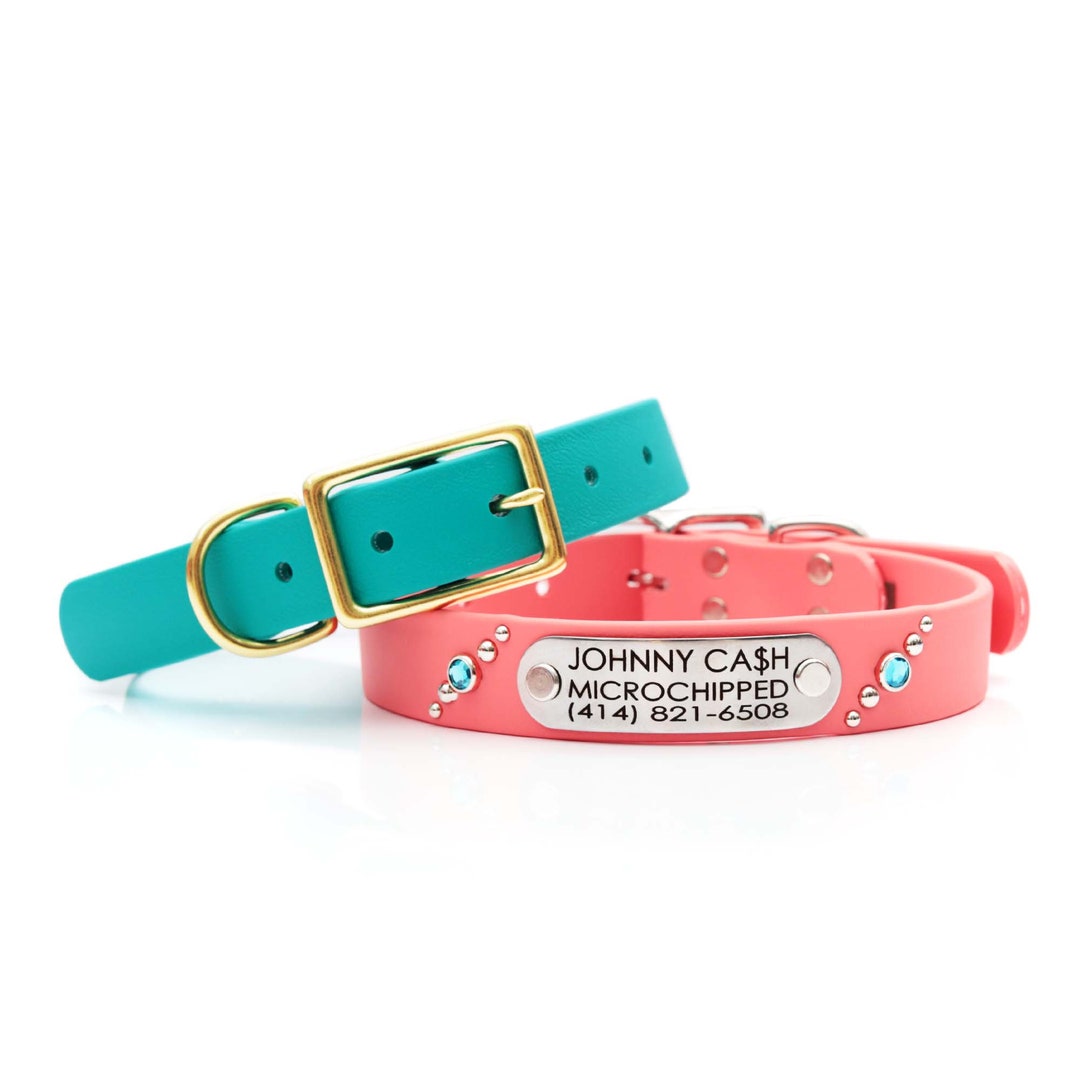 Waterproof Dog Collar With Studs and Personalized Riveted Nameplate