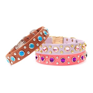 Custom Studded Waterproof Dog Collar - The ‘Durango Kid | Your Choice of Studs | 20+ Colors of Waterproof | Stinkproof Durable Gem Collar