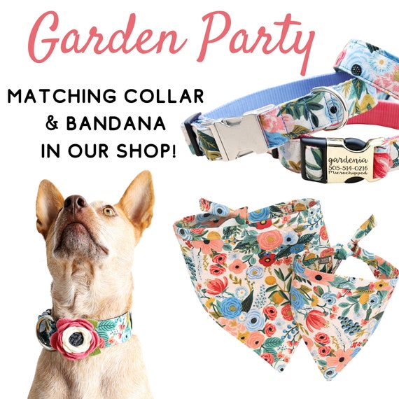 Garden dog lead hotsell