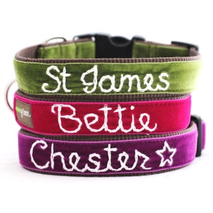 Personalized Velvet Dog Collar 20 colors available Custom Dog Collar Hand Embroidered Collar with your dog's name Monogram dog collar image 1