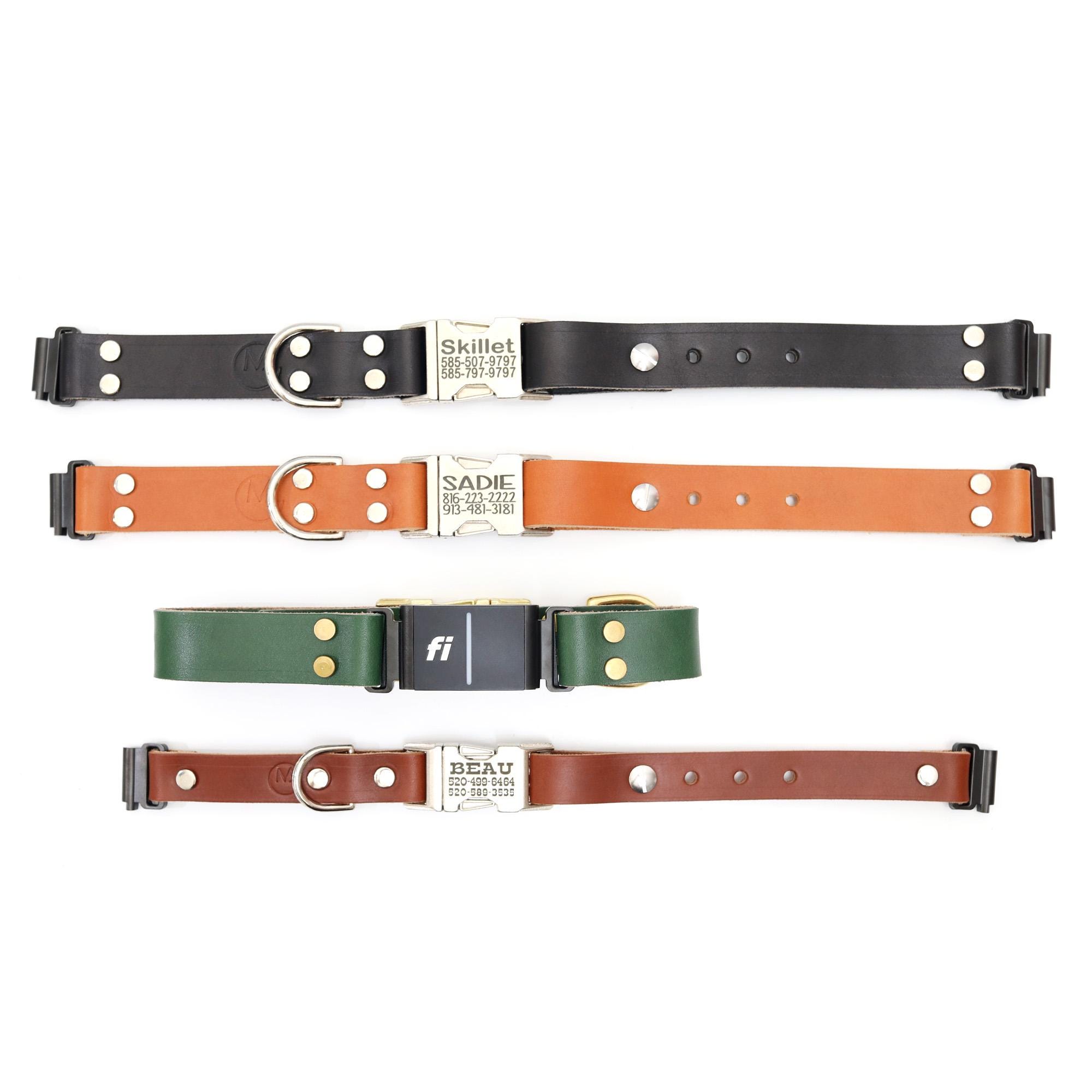 Fi Compatible Leather Dog Collar Engraved Buckle, Gps Tracker, Handmade in Usa, Series 3/3+