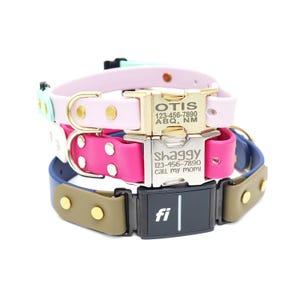Könnte beinhalten: Drei Hundehalsbänder übereinander gestapelt. Das obere Halsband ist rosa mit goldenen Akzenten und dem Namen "OTIS" auf der Schnalle graviert. Das mittlere Halsband ist pink mit silbernen Akzenten und dem Namen "Shaggy" auf der Schnalle graviert. Das untere Halsband ist olivgrün mit goldenen Akzenten und einem schwarzen "fi"-Tracker befestigt.