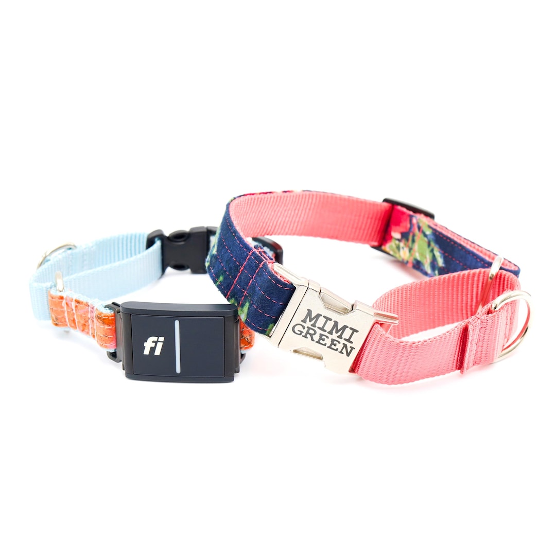 Fi Compatible Martingale Collar With Quick Release Buckle Series