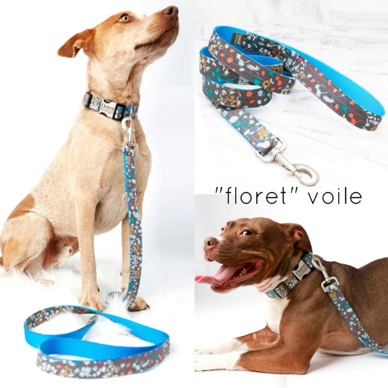 9 VOILE Styles Patterned Dog Leash 4', 5' or 6' Custom Dog Leash Soft Cute Dog Lead Fun Colorful Leash Modern Dog Leash image 4