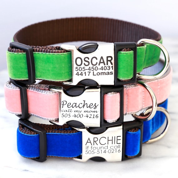Laser engraved dog clearance collar