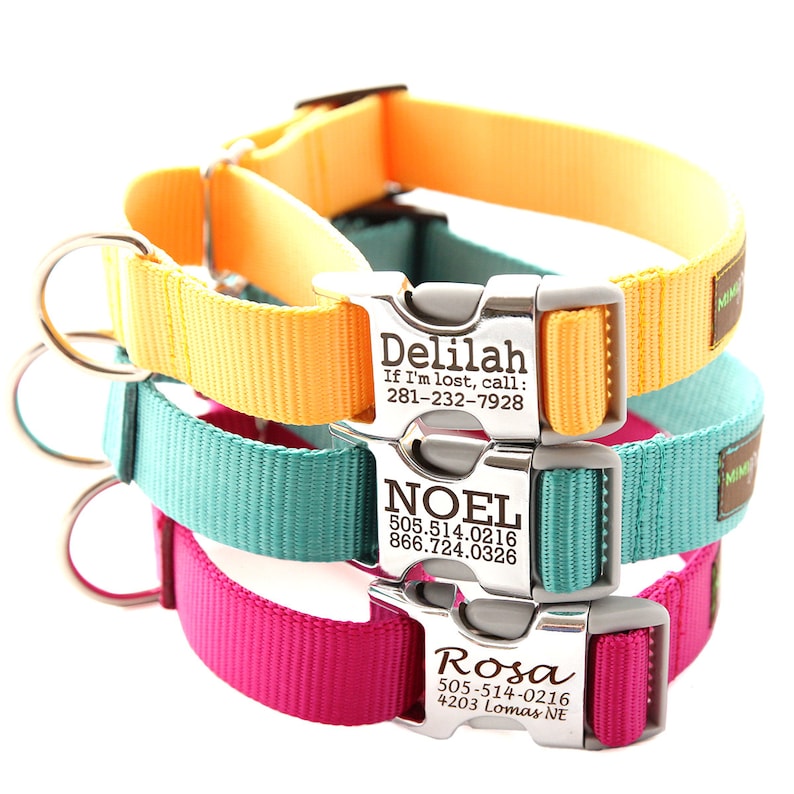Buckle Martingale Dog Collar Personalized Your Choice of 27 Etsy