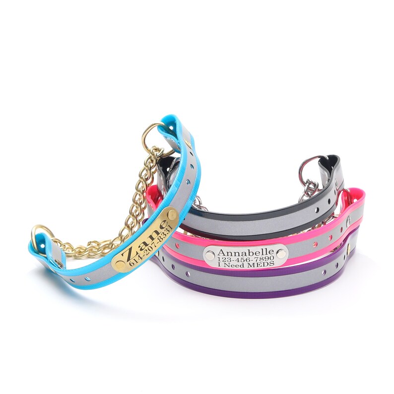 dog collar with riveted nameplate