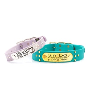 Waterproof Dog Collar with Studs and Personalized Riveted Nameplate – Ace | Studded Biothane Collar | Western Style | 20+ Colors