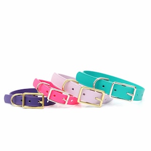 Collar ligero de biotano impermeable para perros / Collar ligero compatible con ecollar para perros / Correa de repuesto / Collar de biotano ajustable