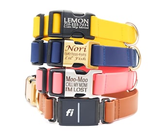 Fi Compatible Waterproof Biothane Dog Collar: Engraved Buckle, Sewn Band, Series 3/3+