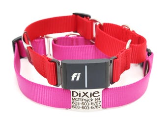 Fi Kompatibles Nylon Gurtband Martingale Hundehalsband | Personalisiertes graviertes Namensschild | 22 Farben | Serie 3/3+