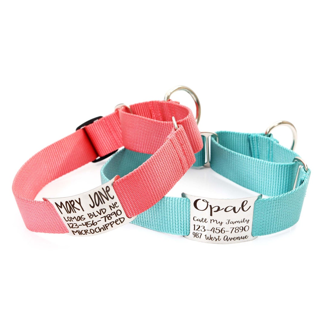 1.5 Wide Name Plate Martingale Nylon Dog Collar Nameplate Large Breed