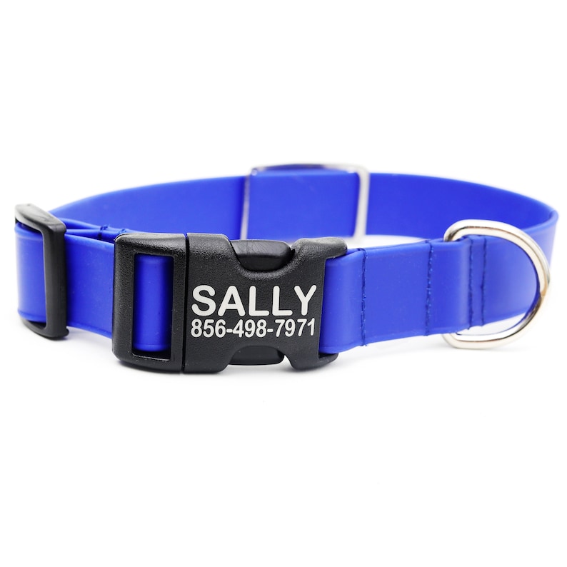 Lightweight Biothane Waterproof Dog Collar with Engraved Buckle The Day Trip Collection Biothane Dog Collar image 5