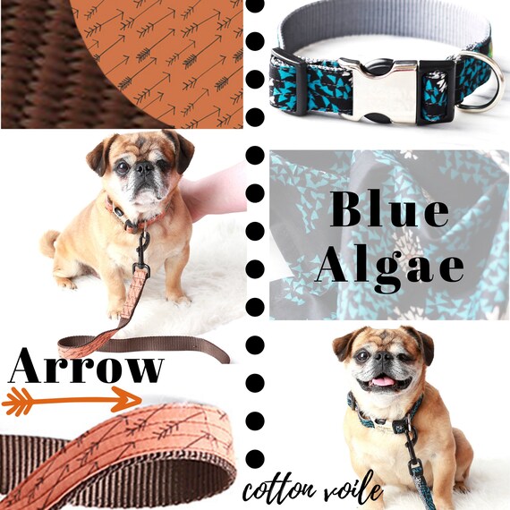 gorgeous dog collars
