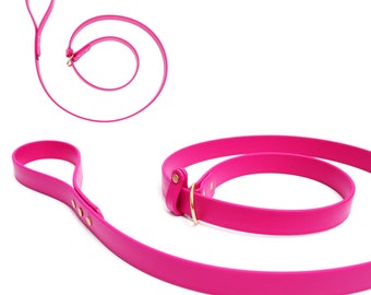 Waterproof Biothane Dog Slip Lead: Agility Training Leash, Handmade, 2-6ft