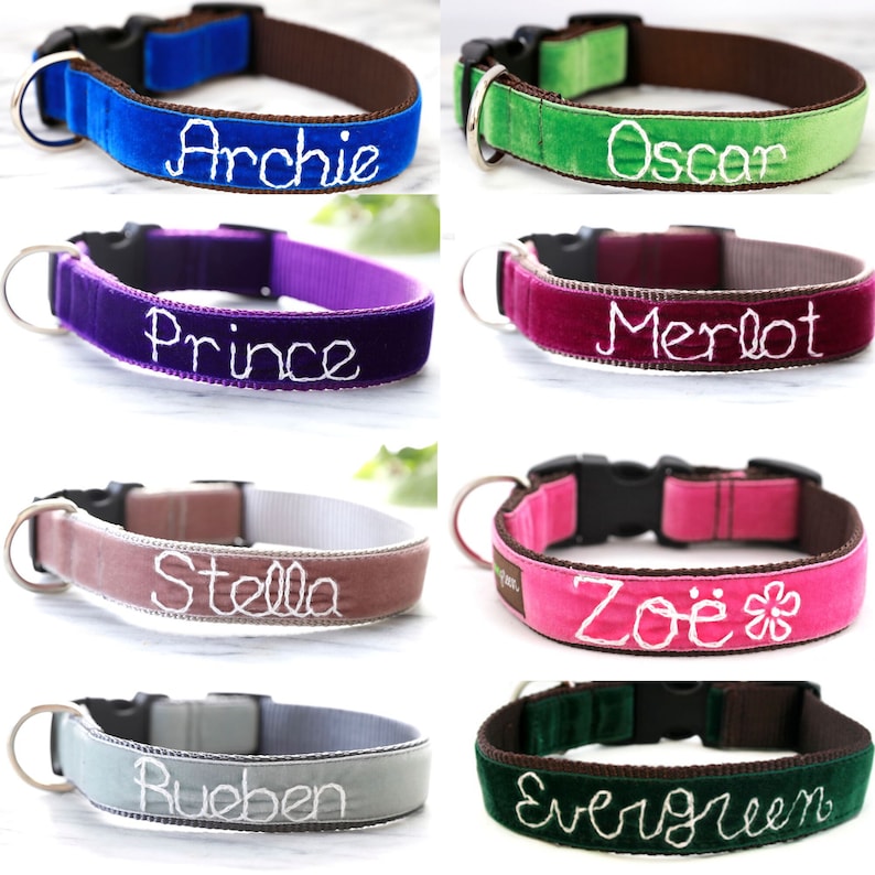 Personalized Velvet Dog Collar 20 colors available Custom Etsy