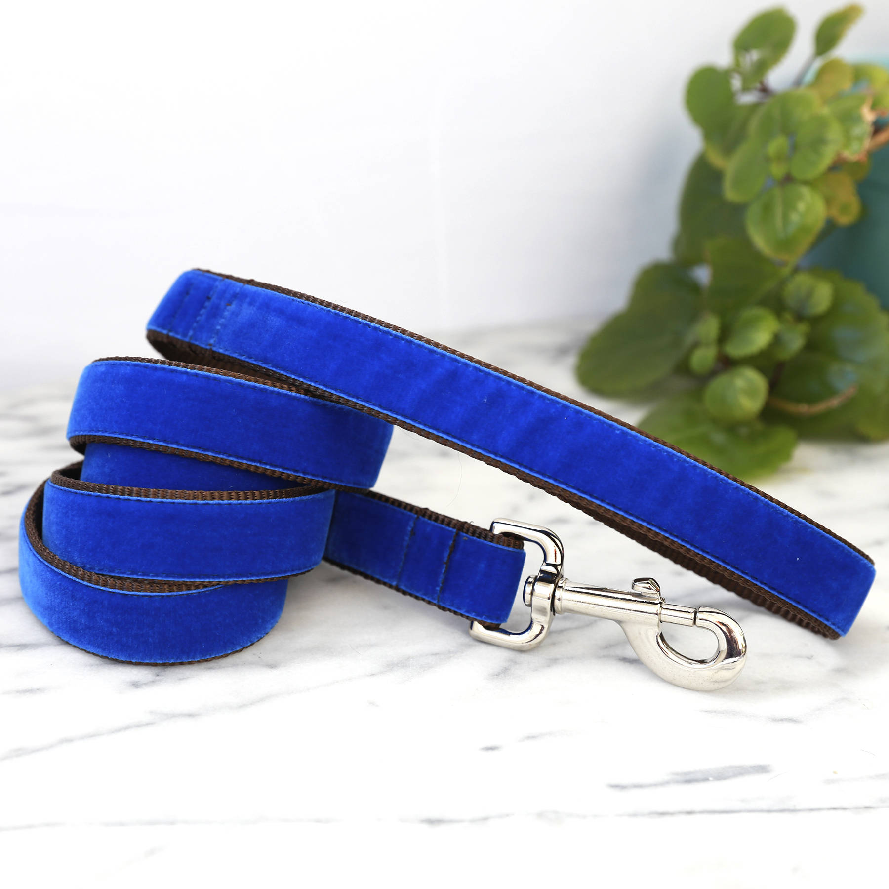 etsy dog leads