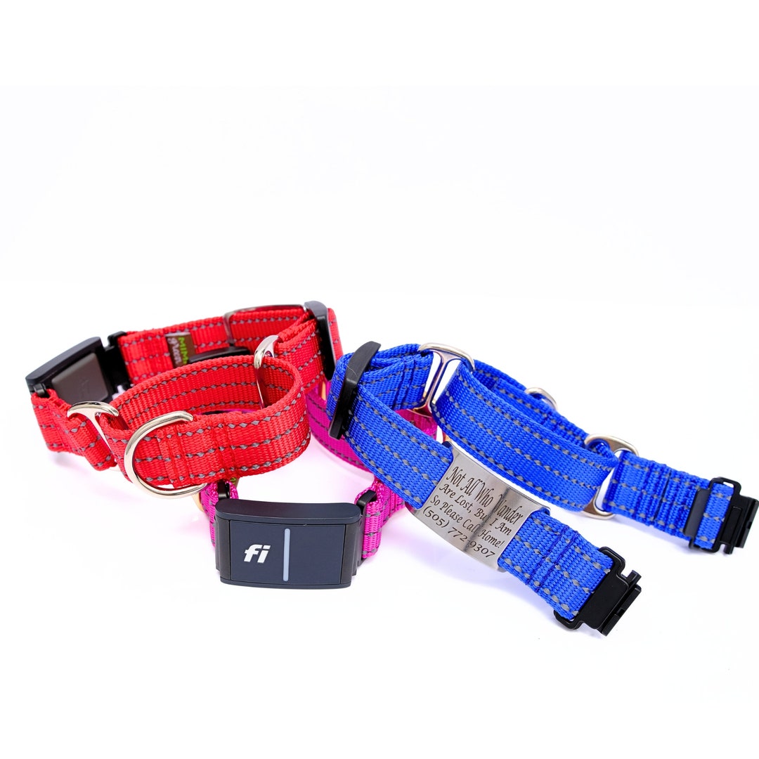 Nylon dog collar with nameplate cheap